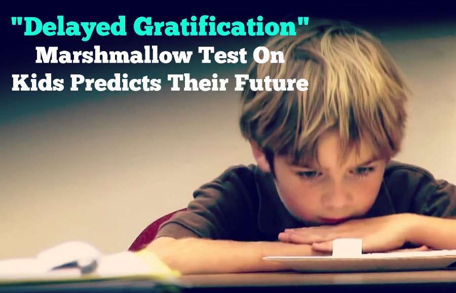 delayed gratification test experiment