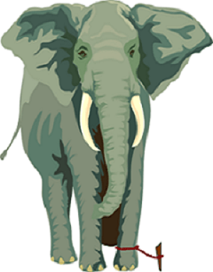 elephant-experiment